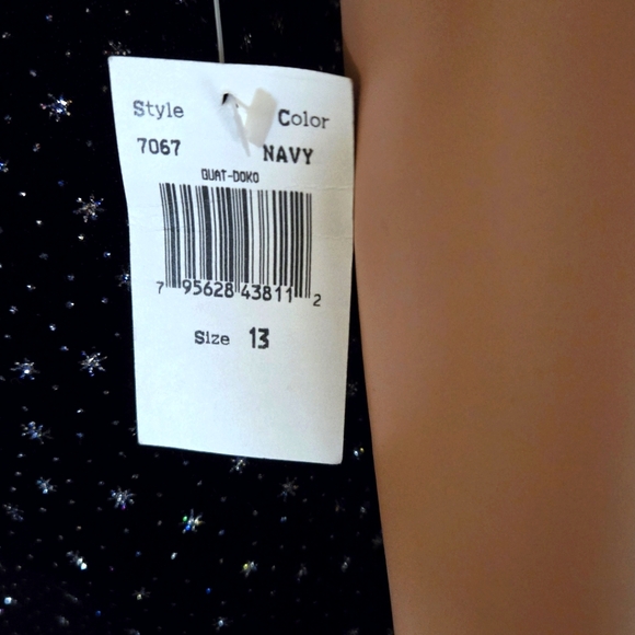 'Starry Night' Zum Zum Evening Gown size 13 - Picture 13 of 16